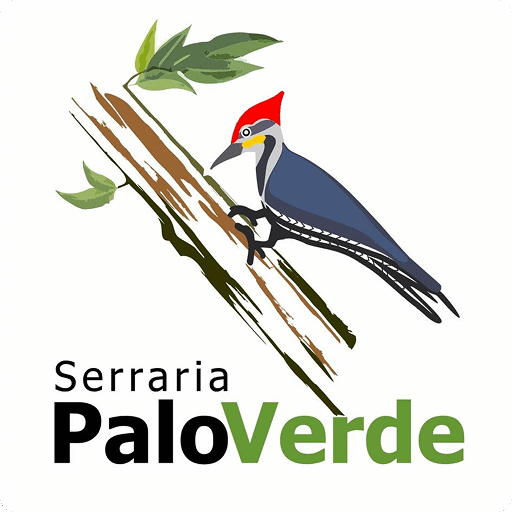paloverde.com.br